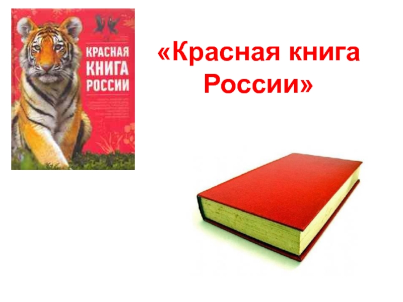 Красная книга России 2 класс