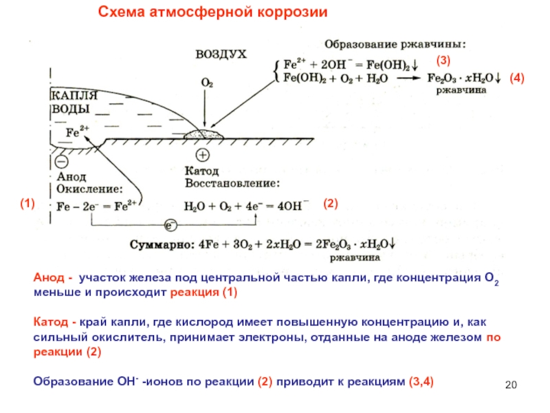 Электрохимическая схема коррозионных элементов