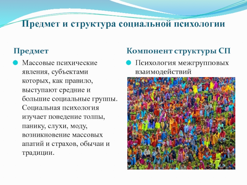 Поведение толпы массовое сознание проект