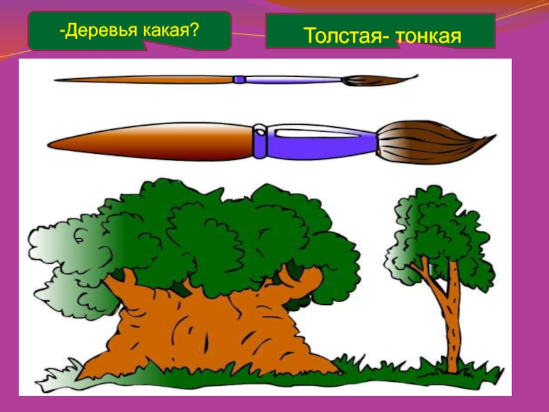 Толстый тонкий для дошкольников. Толстый и тонкий для детей. Толстый тонкий картинки для детей. Толстое и тонкое дерево. Толстый тонкий задания для детей.