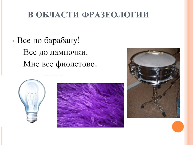 А нам по барабану. Фиолетово по барабану параллельно. Всё до лампочки. До лампочки по барабану фиолетово. Фиолетово параллельно по барабану до лампочки.