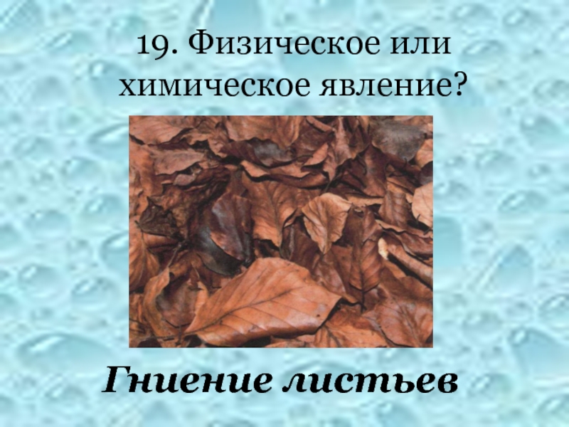 Химическое явление синоним. Гниение листьев. Гниение листьев химический явление пример. Гниение опавших листьев какое явление.