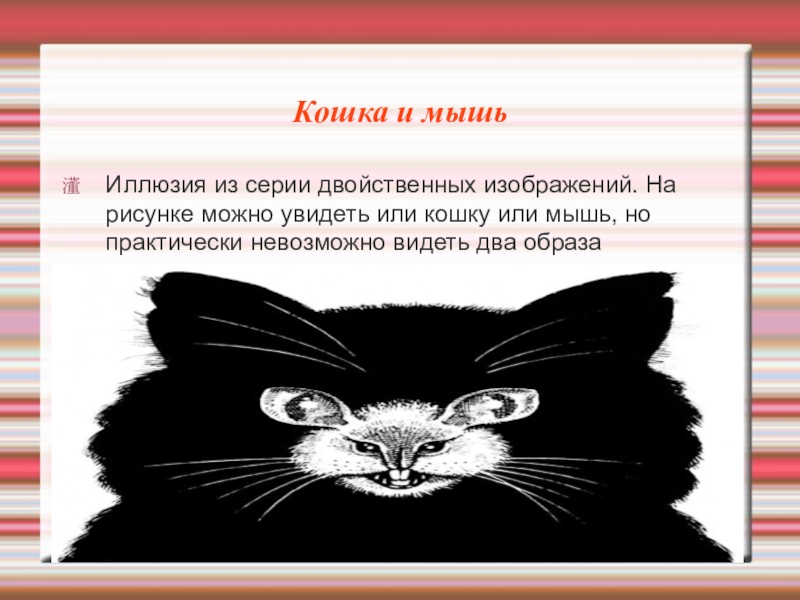 Ориентация кот. Иллюзия кот и мышь. Оптическая иллюзия мышами. Оптические иллюзии кошка мышка. Кот или мышь.