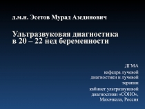 д.м.н. Эсетов Мурад Азединович Ультразвуковая диагностика в 20 – 22 нед