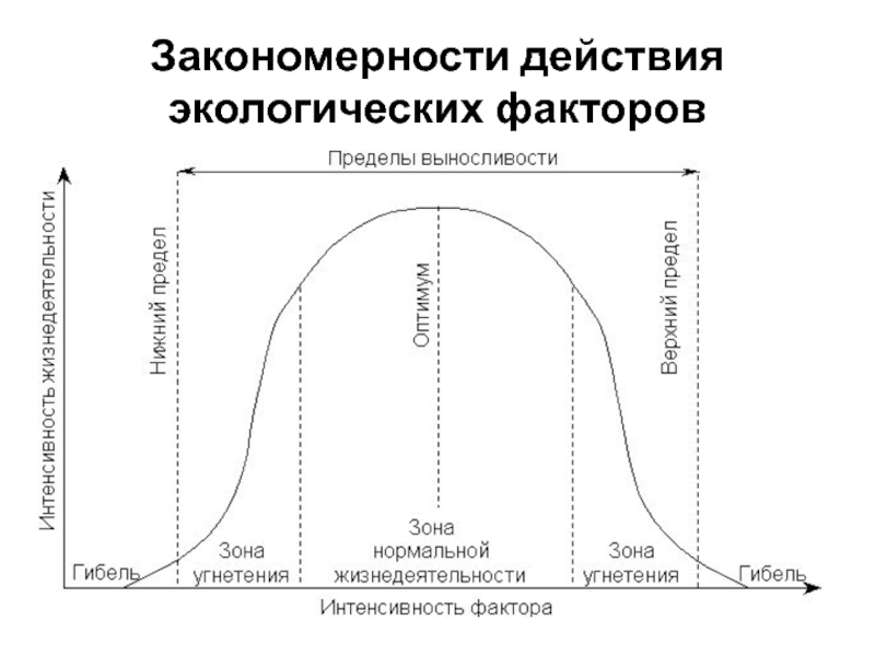 Закономерности действия факторов среды на организмы презентация