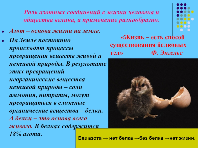 Биологическая роль азота. Роль азота в жизни человека. Роль азота в природе и жизни человека. Азот в жизни человека презентация. Значение азота в жизни человека.