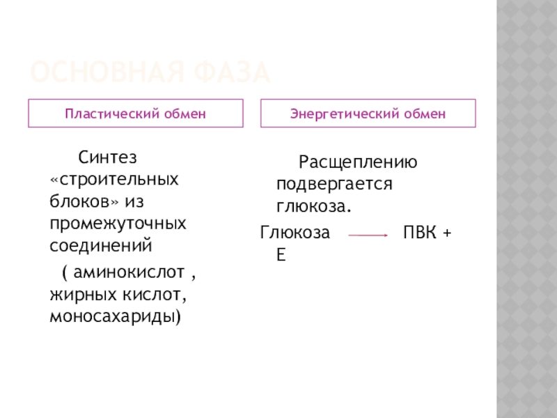 Энергетический обмен и пластический обмен схема