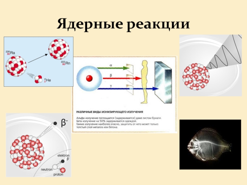 Про ядерные реакции. Ядерные реакции. Ядерные силы и ядерные реакции. Ядерное взаимодействие. Ядерные реакции физика.