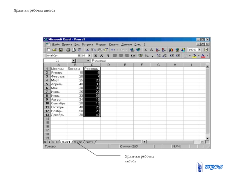 Процессор ms excel. Рабочие листы в MS excel. Рабочий лист табличный процессоры. Ярлычки рабочих листов в эксель. Тема эксель Информатика 9.