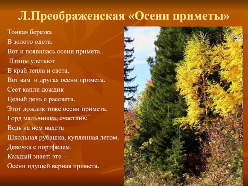 Тонкая береза в золото. Л Преображенская осени приметы. Стих а . л. Преображенская осени приметы. Стих осени приметы.