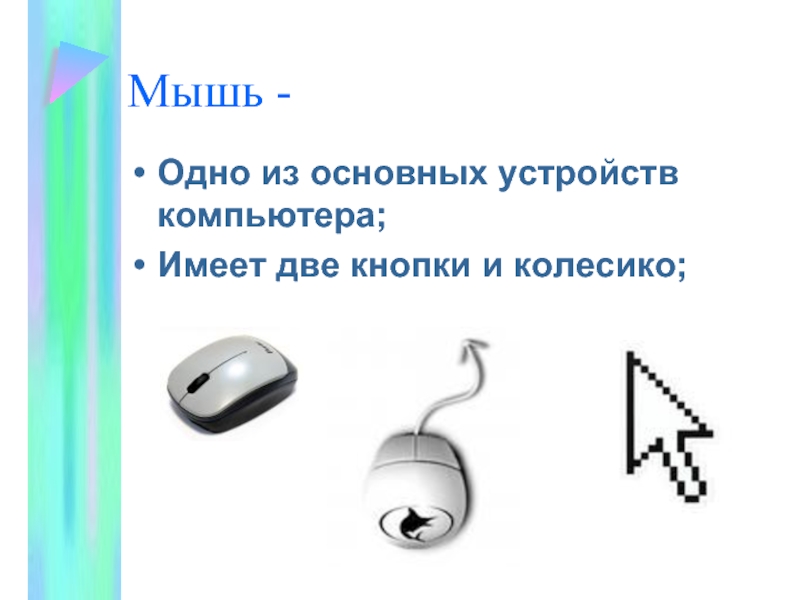 Мышь - Одно из основных устройств компьютера;Имеет две кнопки и колесико;