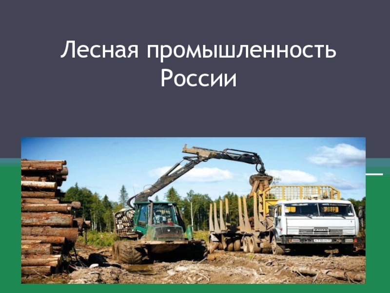 Презентация Лесная промышленность России