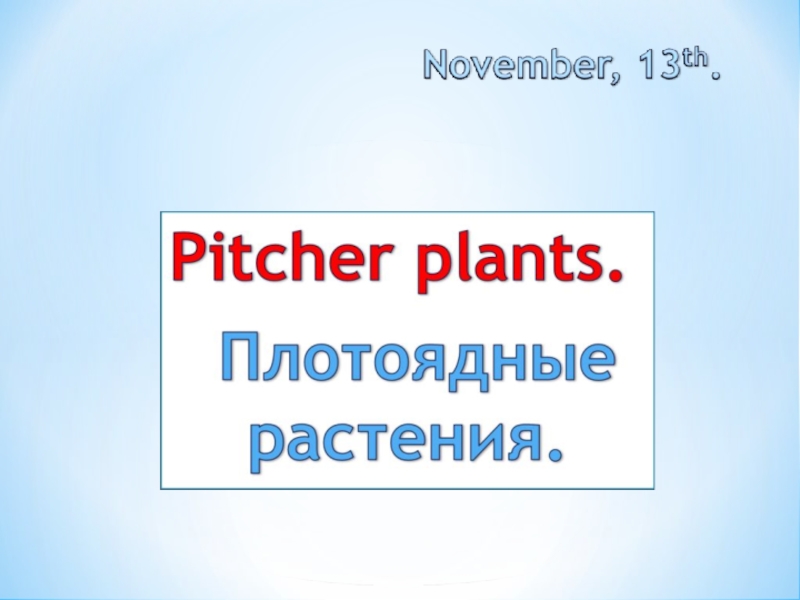 Pitcher plants 4 класс