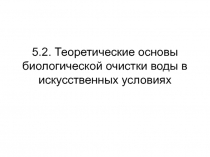  Теоретические основы биологической очистки воды в искусственных условиях