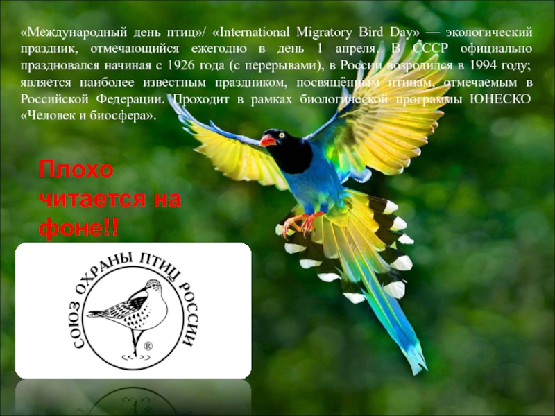 Международный день птиц/ International Migratory Bird Day — экологический