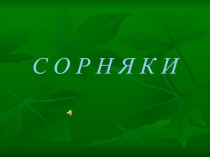С О Р Н Я К И