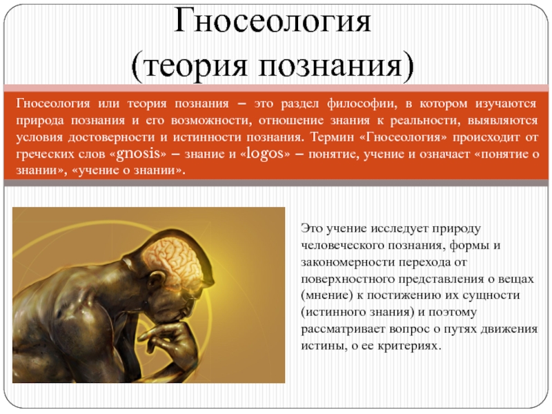 Гносеология (теория познания)
Гносеология или теория познания – это раздел