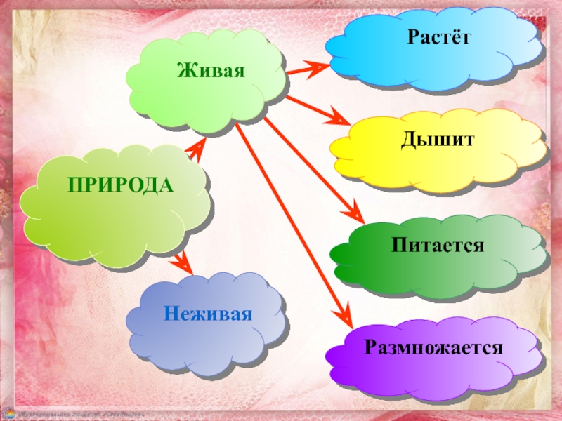 Живые задачи презентация