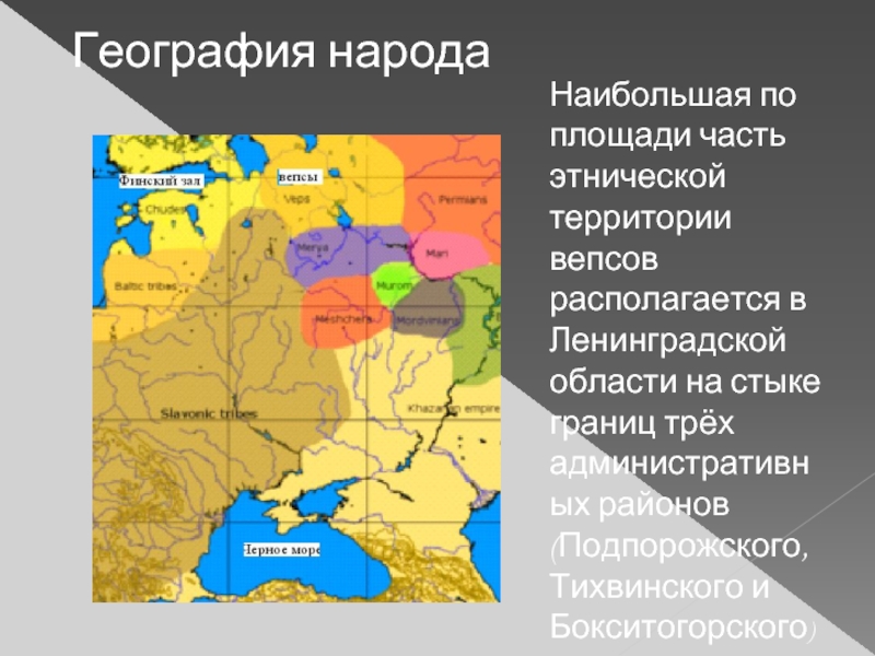 География народаНаибольшая по площади часть этнической территории вепсов располагается в Ленинградской области на стыке границ трёх административных