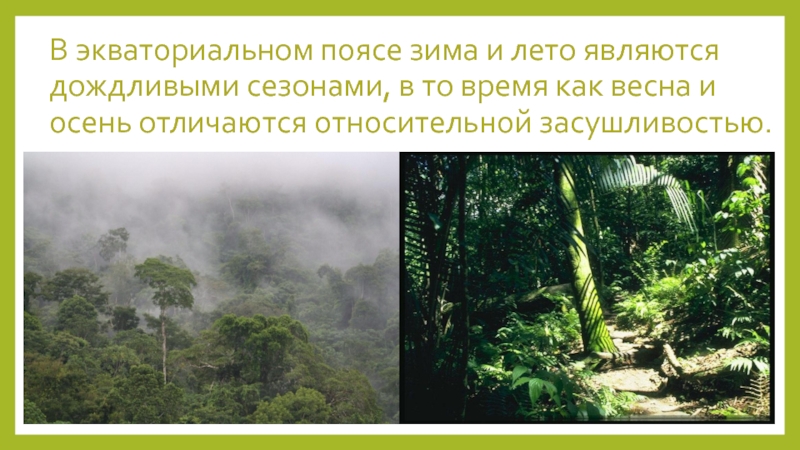 Экваториальный пояс. Зима в экваториальном поясе. Зима и лето в экваториальном поясе. Экваториальный пояс зимой.