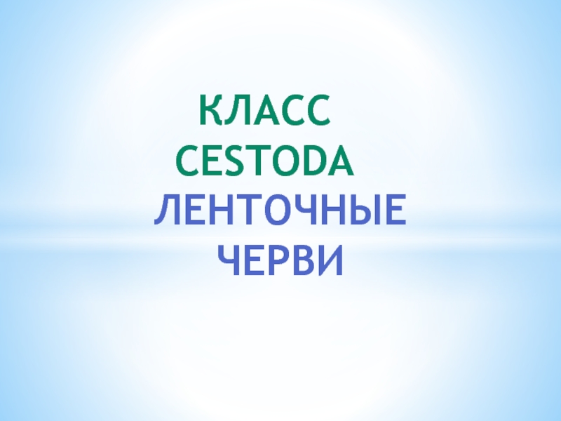 класс cestoda
Ленточные черви