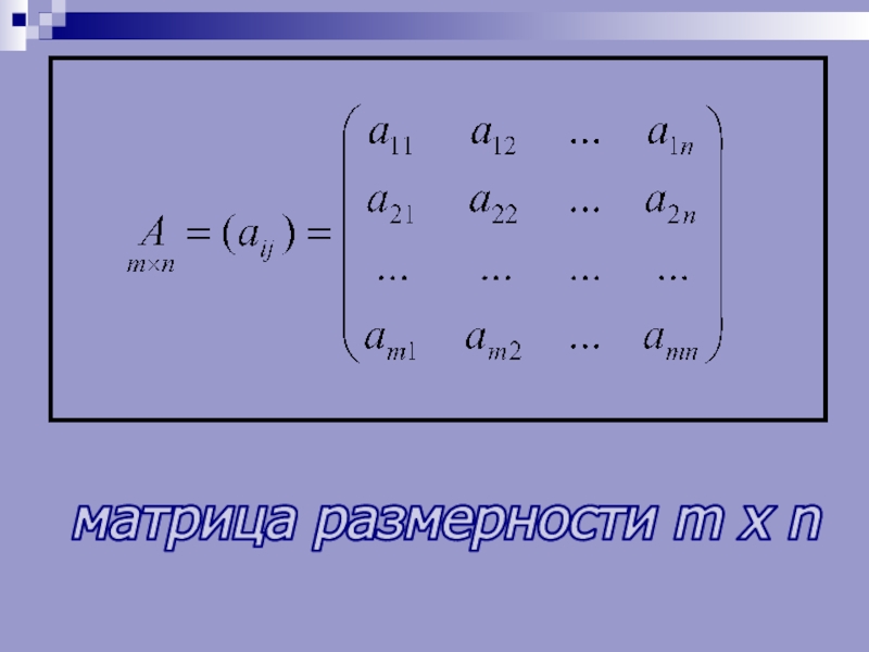 Размерность матрицы равна. Размерность матрицы. Матрица математика Размерность. Как определить Размерность матрицы. Матрица размерности m.