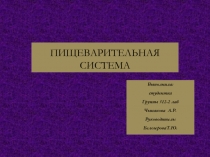 Пищеварительная система 11 класс