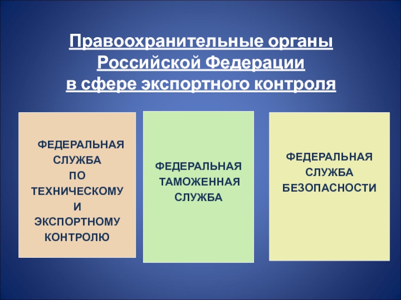 Проект правоохранительные органы российской федерации