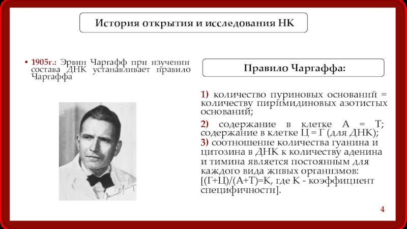 Правило чаргаффа. Правило Эрвина Чаргаффа. Строение ДНК правило Чаргаффа. Правило Чаргаффа для ДНК. Первое правило Чаргаффа.