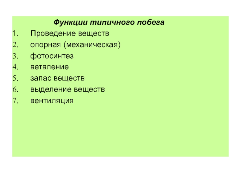 Функции побега. Функции побега растения. Главная функция побега. Основная функция побега.