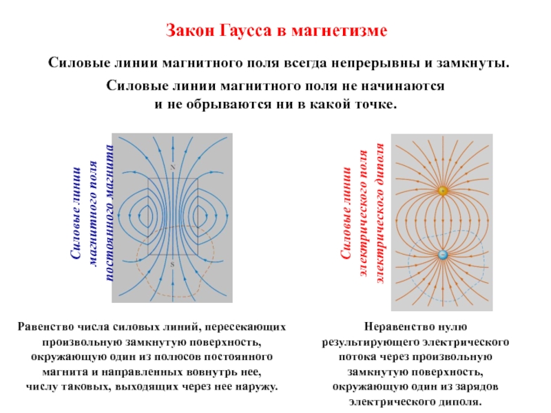 Силовые линии магнитного поля всегда