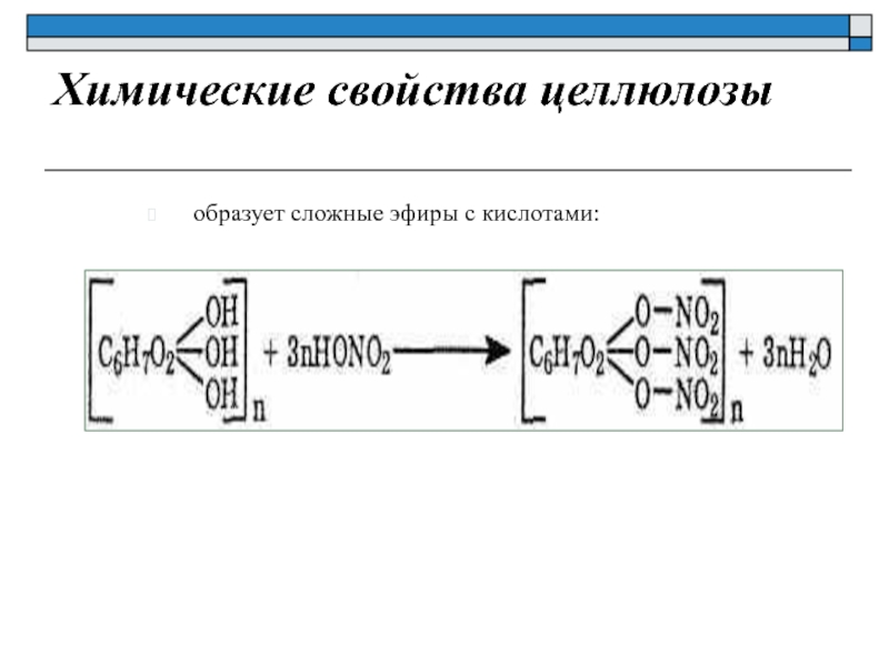 Сложные эфиры целлюлозы. Химические свойства целлюлозы. Свойства целлюлозы.