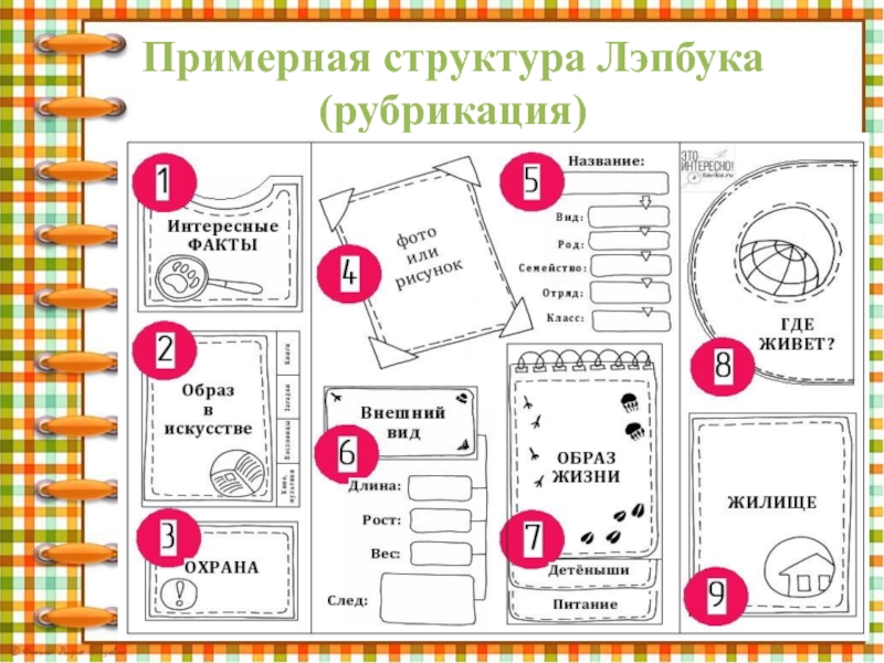 Проект создание лэпбука в начальной школе