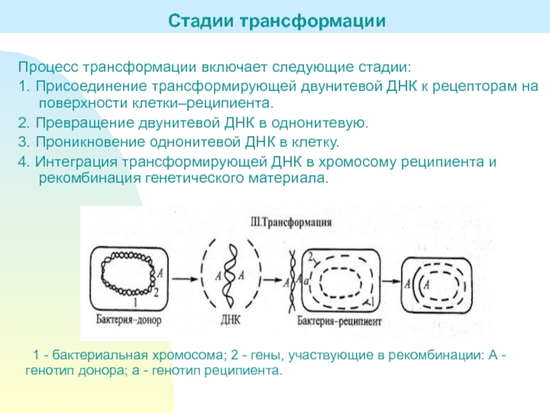 Трансформация в презентации