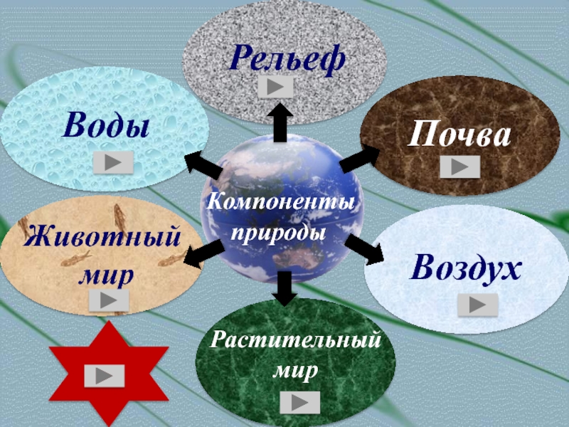 Компоненты почвы. Компоненты рельеф почва. Основные компоненты почвы. Выбери главные компоненты почвы..