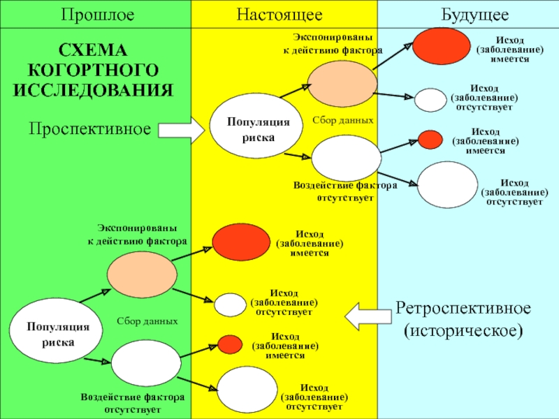 Схема когортного исследования