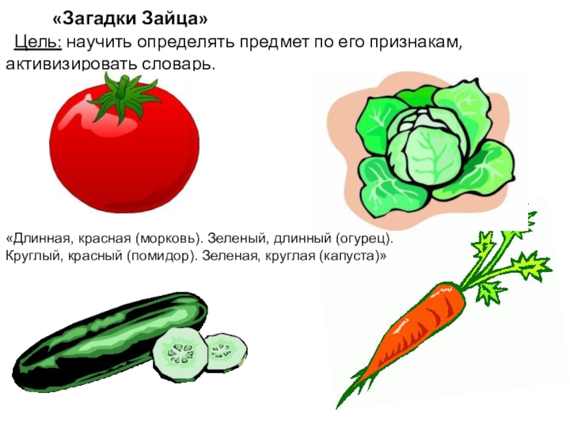 Загадка про огурец. Загадка про помидор. Загадка про помидор для детей. Загадки про огурец и помидор. Загадки про помидор и огурец для детей.