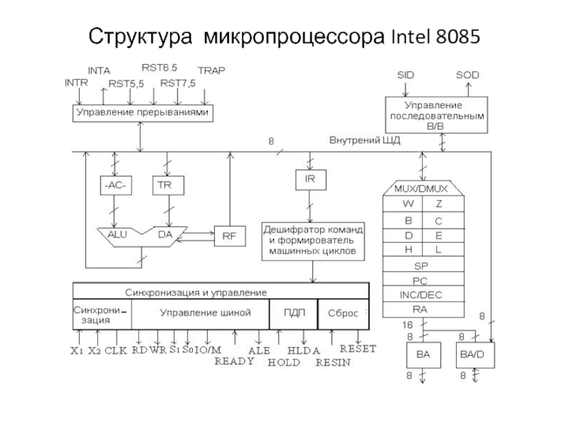 На структурной схеме микропроцессора сокращение rf означает