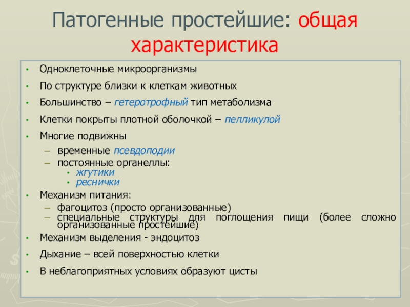 Основные группы патогенных микроорганизмов схема