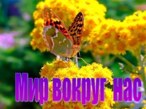 Мир вокруг нас