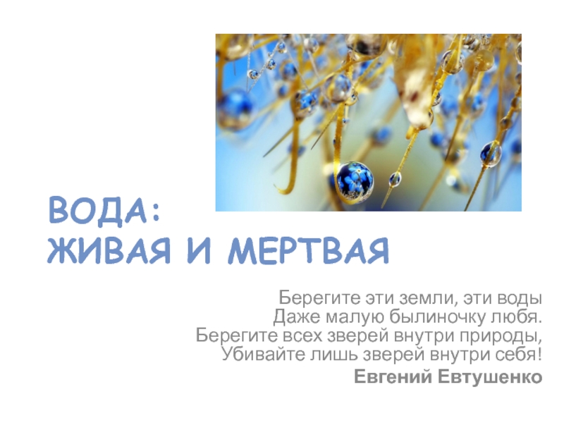 Презентация ВОДА: ЖИВАЯ И МЕРТВАЯ