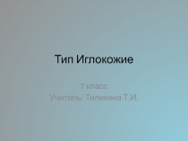 Тип Иглокожие