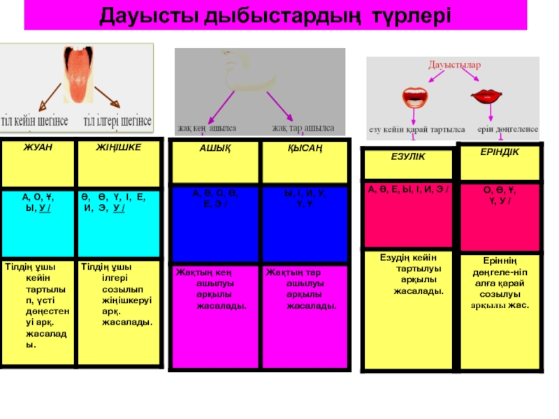 Дауысты дауыссыз дыбыстар таблица фото