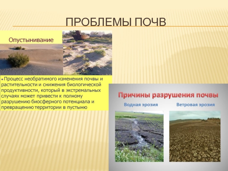 Изменения состояния почвы. Экологические проблемы почв. Проблемы почвы. Проблемы почвы экология. Почвенные проблемы экологии.