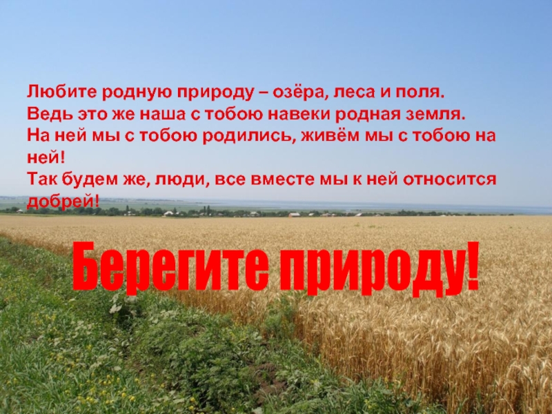 Проект разнообразие природы родного края 3 класс по окружающему миру самарская область