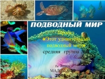 Проект
Этот удивительный подводный мир
средняя группа №8
г. Томск
МАДОУ