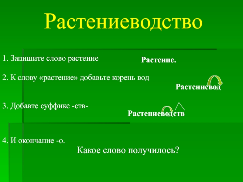 Растениеводство 4 класс