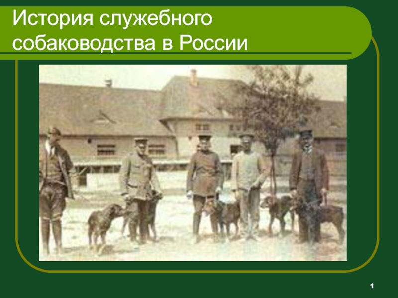 История служебного собаководства в России