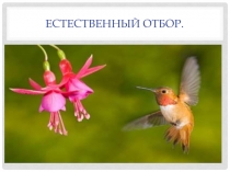 Естественный отбор