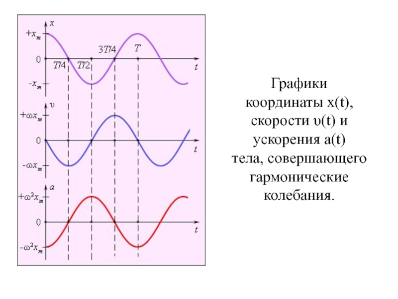 На рисунке представлен график зависимости от времени t скорости v тела совершающего гармонические